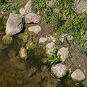 image link to photo gallery for water-ponds 03