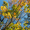image link to photogallery autumn 21