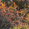 image link to photogallery autumn 23
