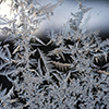 image link to season's winter image gallery 100