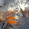 image link to season's winter image gallery 101